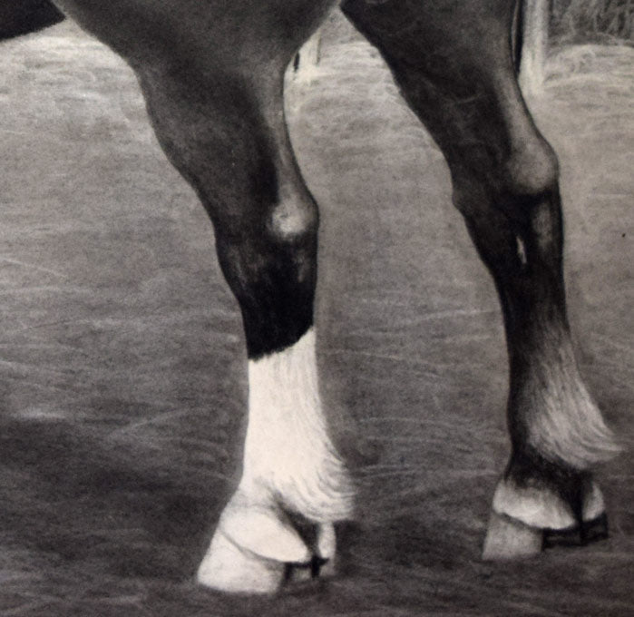 露山(本名:畠中清喜)「馬」木炭・水墨 拡大部分4