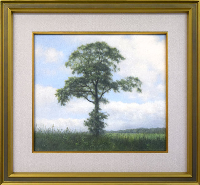 佐々木敏光「夏の樹」水彩画（縦36.5×横41.3ｃｍ）