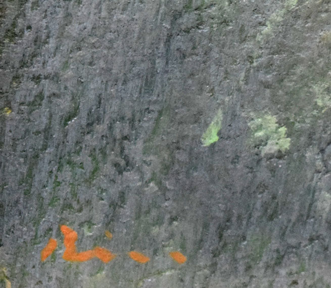 佐々木敏光「夏の樹」水彩画（縦36.5×横41.3ｃｍ）　サイン部分拡大画像
