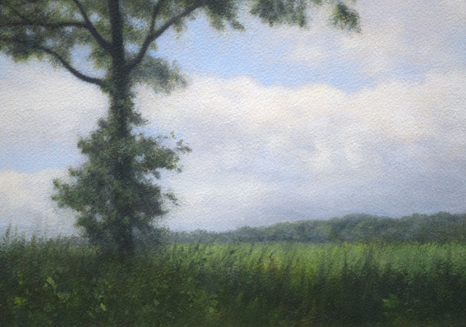 佐々木敏光「夏の樹」水彩画(縦36.5×横41.3cm) 拡大画像3