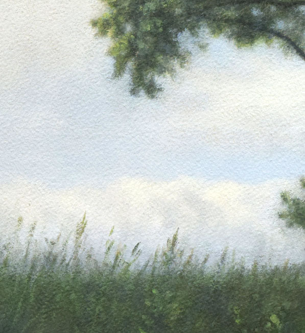 佐々木敏光「夏の樹」水彩画（縦36.5×横41.3ｃｍ）　拡大画像2