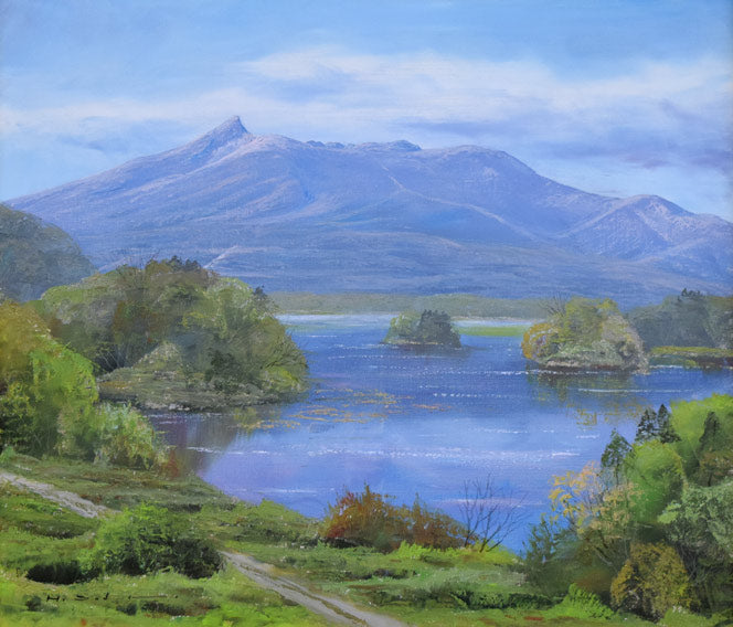 佐田光「大沼と駒ヶ岳(函館)」油絵・F10号 作品全体拡大画像