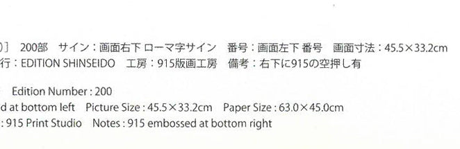 千住博「水」リトグラフ カタログレゾネ拡大画像3
