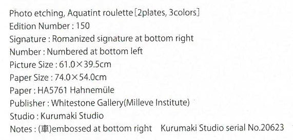 千住博「Waterfall#20(ウォーターフォール)」フォトエッチング、アクアチント、ルーレット 掲載内容拡大画像3