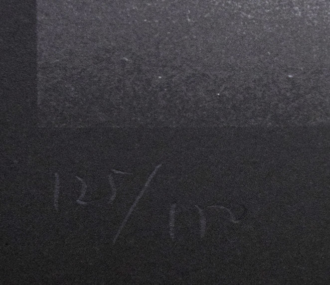 千住 博「Waterfall(Day Fall/Night fall)HSエディション」ミックストメディア版画 限定番号(ed,125/150)拡大画像