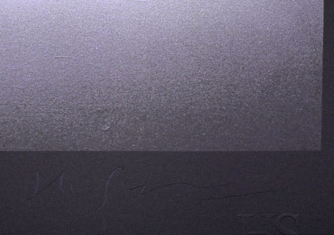 千住 博「Waterfall(Day Fall/Night fall)HSエディション」ミックストメディア版画 本人直筆鉛筆サイン拡大画像