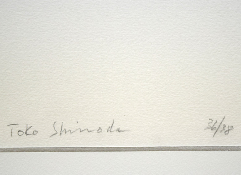 篠田桃紅「Continue」リトグラフ・朱色手彩色 サイン・限定番号部分(ed,36/38)