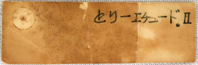 武田伸一「とり‐エチュードⅡ」油絵・F20号 付属資料1(作品タイトル)