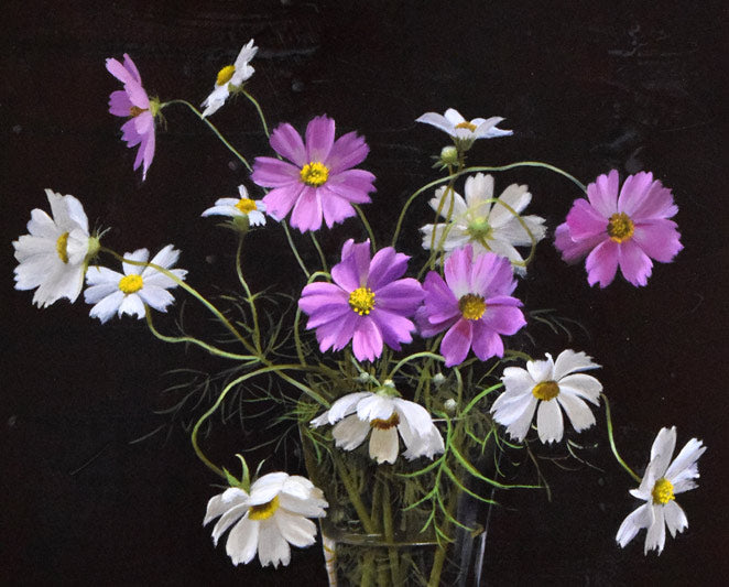 竹尾文夫「コスモス」油絵・F6号 拡大画像1