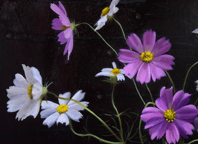 竹尾文夫「コスモス」油絵・F6号 拡大画像2