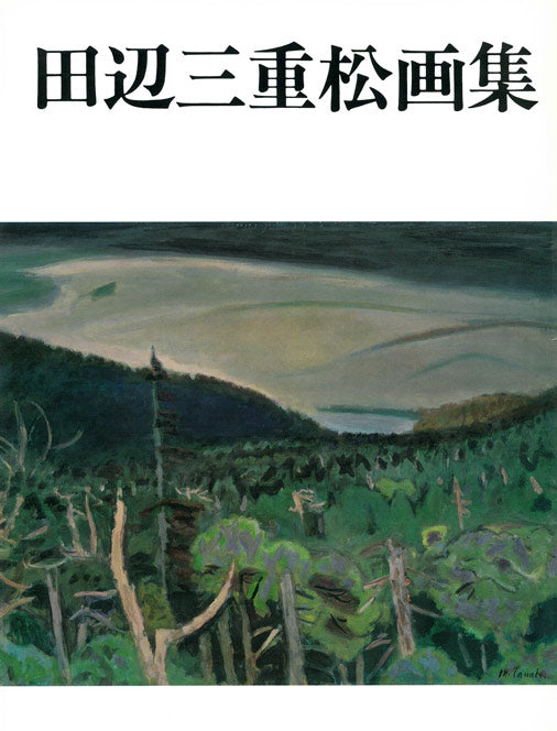 田辺三重松「サクレクール眺望（パリ）」油絵・F10号　画集表紙画像