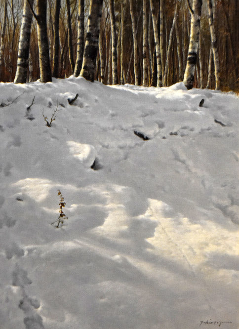 田染 幸雄「冬晴れ」油絵・P15号 作品全体拡大画像
