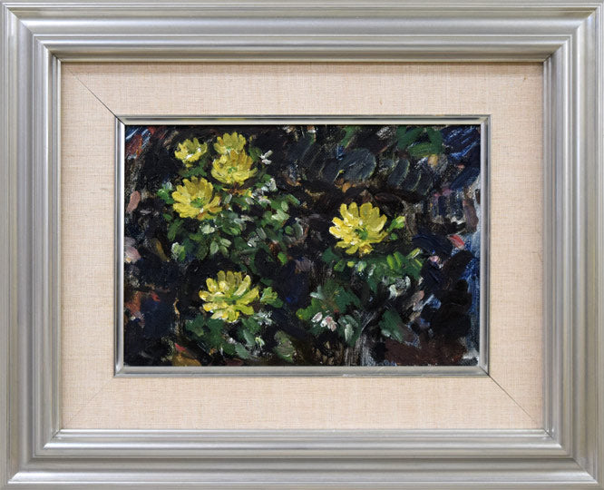 富樫正雄「福寿草」油絵・P3号