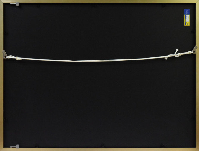 津田耕「Swing」ジグレー版画 額縁裏画像