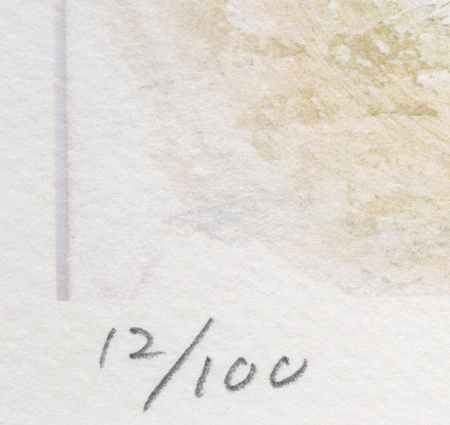 津田耕「ヴォーカル」ジグレー版画 限定番号(ed,12/100)拡大画像