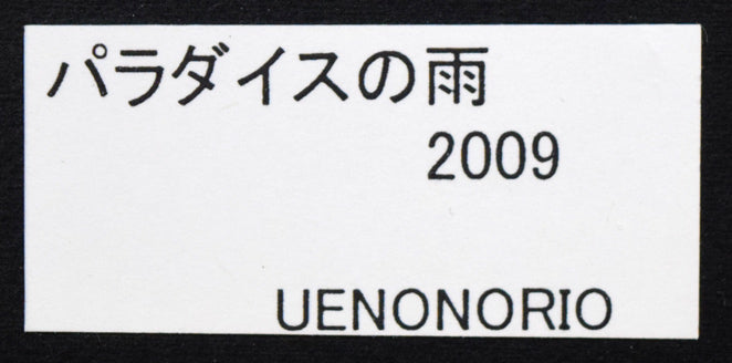 上野憲男「パラダイスの雨2009」水彩画 額裏シール拡大画像1