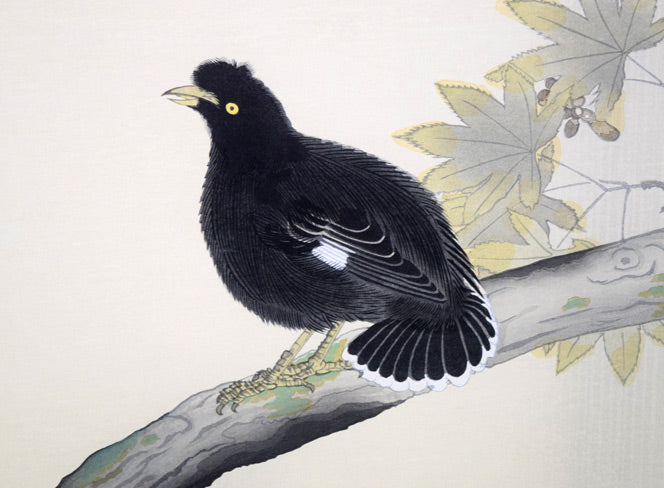 横山大観「叭叭鳥（ハハチョウ）」木版画　拡大画像1