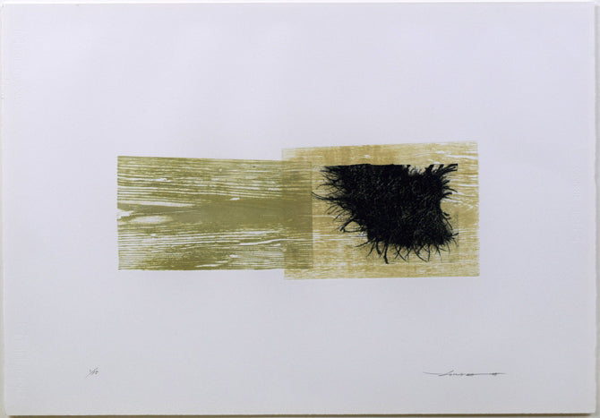 艾沢詳子「タイトル不明」コラグラフ 作品全体拡大画像