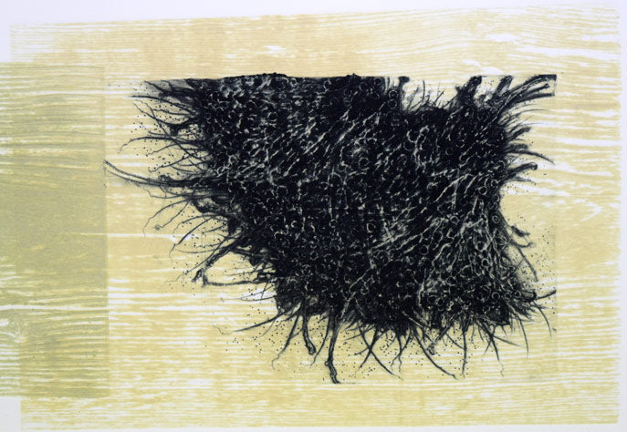 艾沢詳子「タイトル不明」コラグラフ 拡大画像3