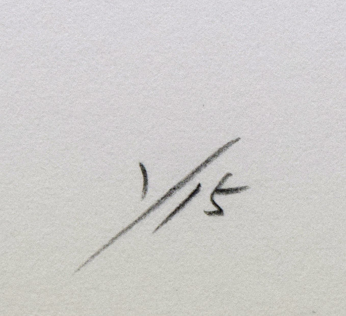 艾沢詳子「タイトル不明」コラグラフ 限定番号(ed,1/15)人気のNo,1です!