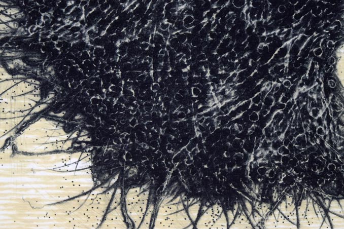 艾沢詳子「タイトル不明」コラグラフ 拡大画像4