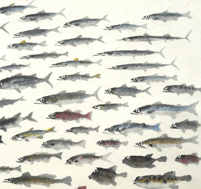 赤穴宏「百魚図」肉筆彩色図　拡大画像2