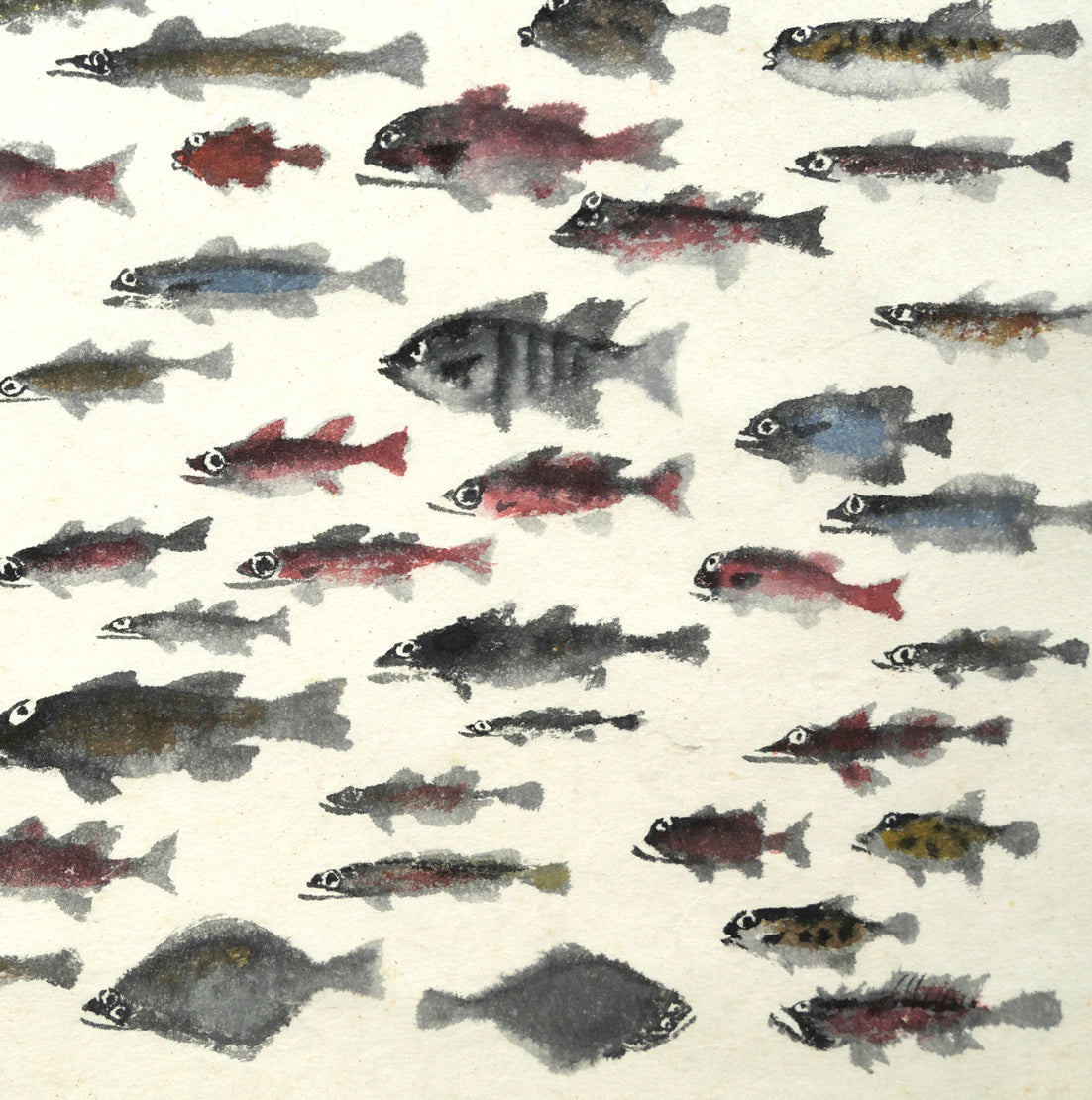 赤穴宏「百魚図」肉筆彩色図　拡大画像4
