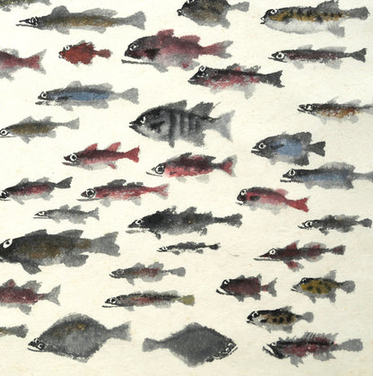 赤穴宏「百魚図」肉筆彩色図　拡大画像4