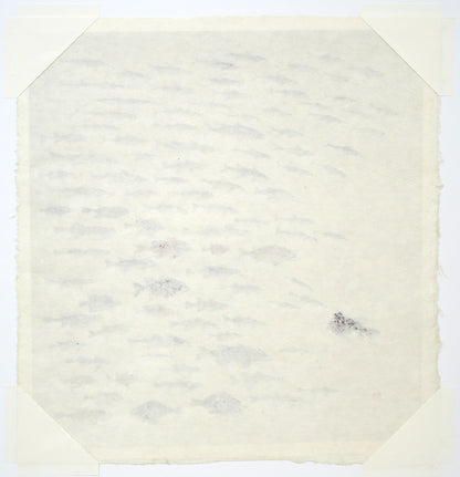 赤穴宏「百魚図」肉筆彩色図　作品裏側画像