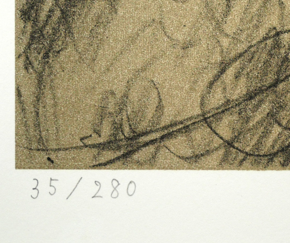 天野喜孝「闇舞（あんぶ）」リトグラフ 絵画買取・販売の小竹美術
