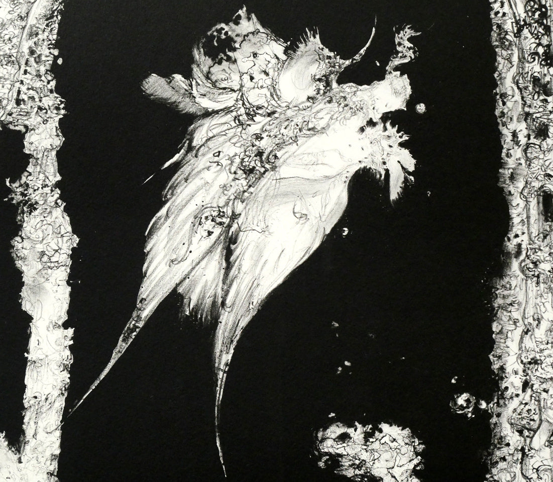 天野喜孝「蒼い月」リトグラフ　拡大画像7