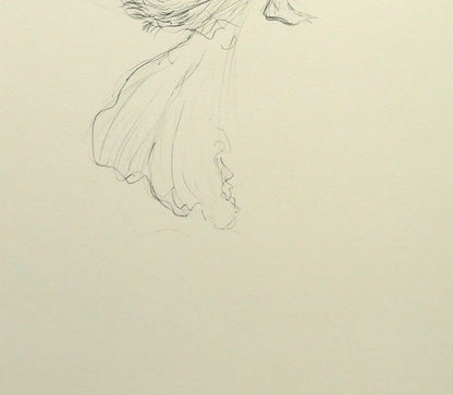 天野喜孝「花のささやき」リトグラフ　拡大画像5