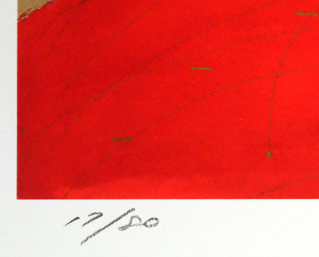天野喜孝「飛天Vデラックス」ジクレ版画　限定番号（ed,17/80）