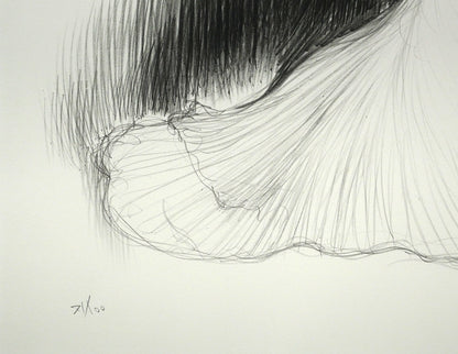天野喜孝「ジゼル」リトグラフ　拡大画像4