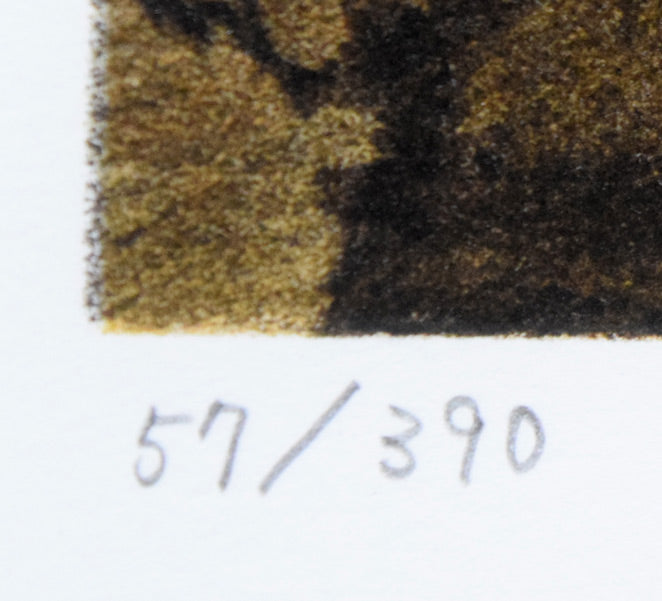 天野喜孝「黒衣の剣士」リトグラフ　限定番号（ed,57/390）