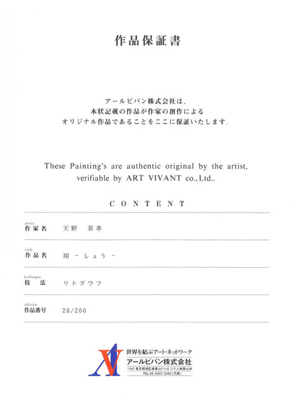 天野喜孝「翔（しょう・吸血鬼ハンターD）」リトグラフ　作品保証書