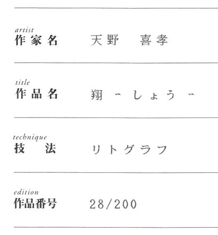 天野喜孝「翔（しょう・吸血鬼ハンターD）」リトグラフ　保証書拡大画像