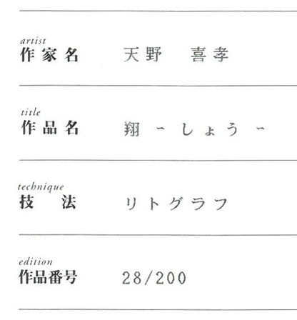 天野喜孝「翔（しょう・吸血鬼ハンターD）」リトグラフ　保証書拡大画像