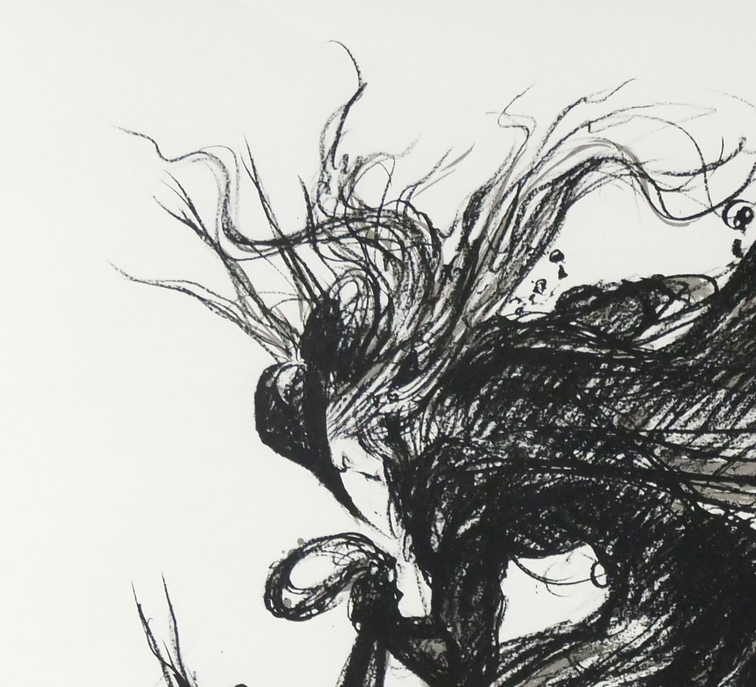 天野喜孝「翔（しょう・吸血鬼ハンターD）」リトグラフ　拡大画像1
