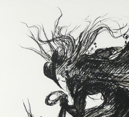 天野喜孝「翔（しょう・吸血鬼ハンターD）」リトグラフ　拡大画像1