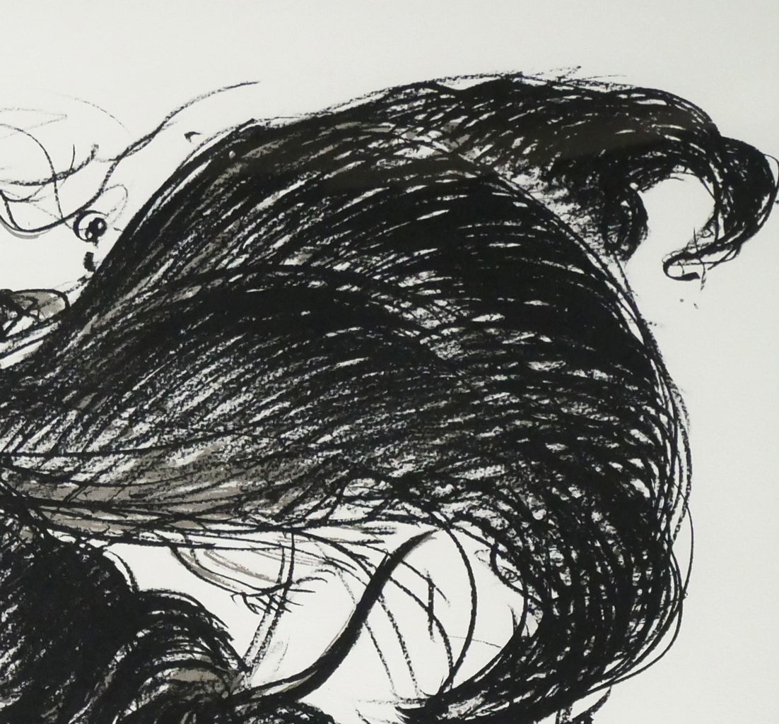 天野喜孝「翔（しょう・吸血鬼ハンターD）」リトグラフ　拡大画像2