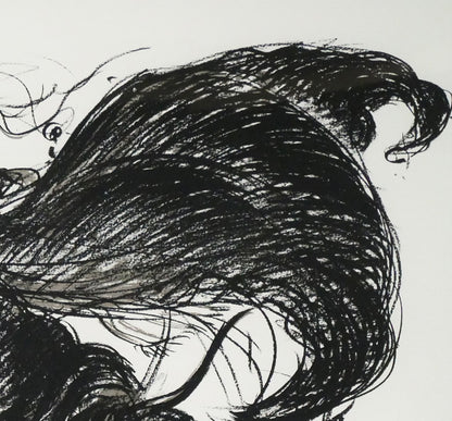 天野喜孝「翔（しょう・吸血鬼ハンターD）」リトグラフ　拡大画像2