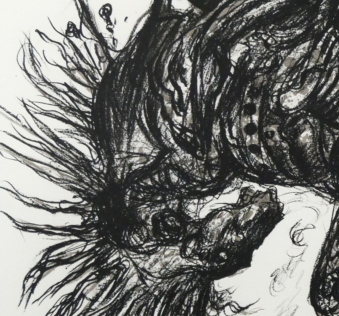 天野喜孝「翔（しょう・吸血鬼ハンターD）」リトグラフ　拡大画像3