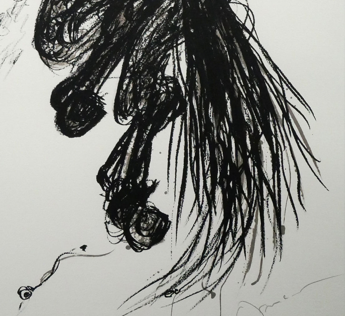 天野喜孝「翔（しょう・吸血鬼ハンターD）」リトグラフ　拡大画像6