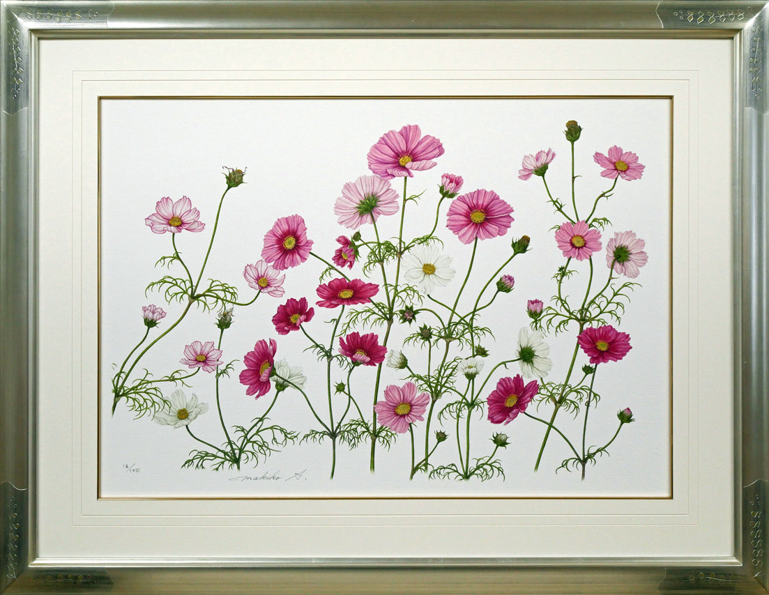 安藤牧子「コスモス（Botanical　Art）」版画・10号大