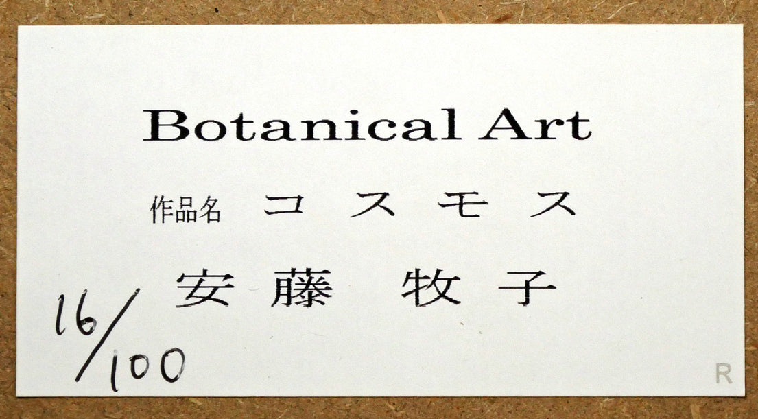 安藤牧子「コスモス（Botanical　Art）」版画・10号大　額裏シール拡大画像