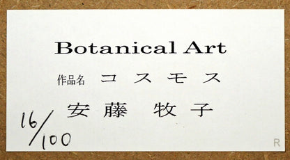 安藤牧子「コスモス（Botanical　Art）」版画・10号大　額裏シール拡大画像