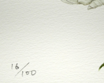 安藤牧子「コスモス（Botanical　Art）」版画・10号大　限定番号（ed,16/100）