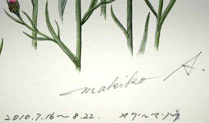 安藤牧子「矢車菊（Botanical　Art）」版画・10号大　本人直筆鉛筆サイン