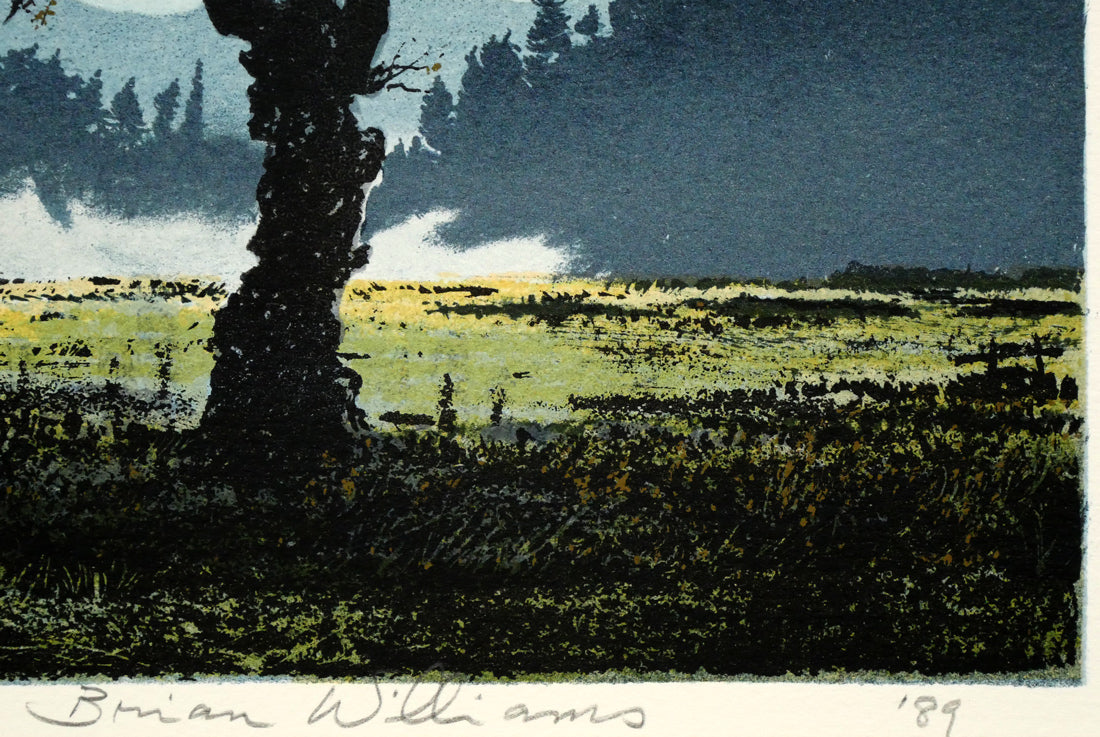 ブライアン　ウィリアムズ（Brian　Williams）「autumn（秋）」リトグラフ　本人直筆鉛筆サイン・年記（1989年作）